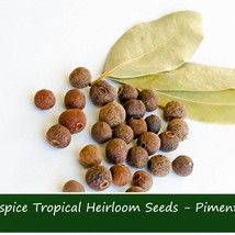 New Fresh Seeds Allspice 20 Berries Multiple Seeds In The Shell See List... - $21.36