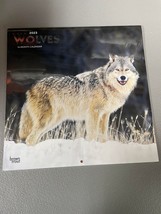 2023 Wolves Calendar - $12.99
