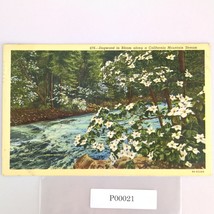 Vintage 1944 Linen Postcard Dogwood in Bloom California Mountain Stream ... - $14.92