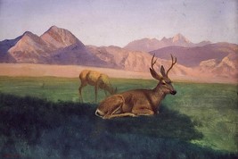 Deer by Albert Bierstadt available as Giclee Art Print + Ships Free - $39.00+