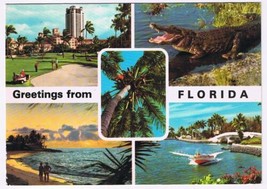 Postcard Greetings From Florida Multi View - £2.33 GBP