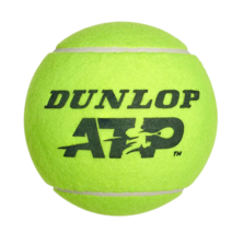 Dunlop 9IN ATP Giant Tennis Ball 45cm Sports Signature Ball Accessory Ye... - $37.33