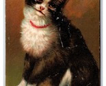 Adorable Cat Big Eyes Collar 1910 DB Postcard B18 - $7.87