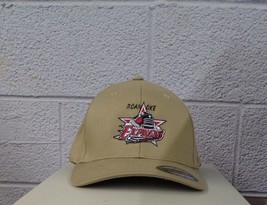 Flexfit ECHL Hockey Roanoke Express Embroidered Hat Ball Cap New - $25.49