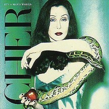 Cher : It&#39;s A Man&#39;s World CD (1995) Pre-Owned - £11.90 GBP