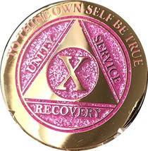 10 Year Elegant Glitter Pink Gold Silver Bi-Plated AA Medallion Chip X - $16.82
