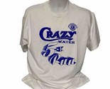 Vintage Mineral Wells TX Crazy Water 5K Marathon Mens Large T Shirt Lion... - $13.20