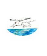 Seagulls and Ocean Scene Oval Decal Sticker for Car/Truck Windows Phones - $130.28 MXN+