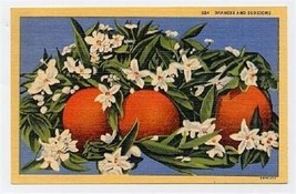 Oranges &amp; Blossoms  Linen Postcard - $9.90