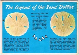 Florida Postcard Legend Of The Sand Dollar Holy Ghost Shell - £2.33 GBP