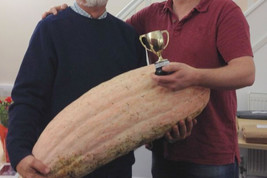 Item image 1 image 1