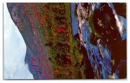 Ausable Fiume E Whiteface Mountain Adirondacks Wilmington New York Cartolina - £34.42 GBP
