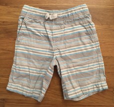 Gymboree Boys Gray Blue White Stripe Swimsuit Swim Suit Trunks Board Shorts 4T - $19.99