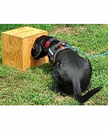 K9 Odor Detection, Dog Nosework, Scent Work, Scentwork boxes w/metal plate - $60.00