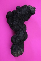Giant Lizard Poop 5 Million Years Old Coprolite Genuine Fossil Dino Girl COA S50 - $570.01 MXN