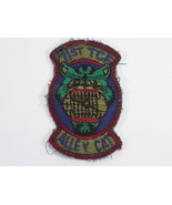 71st TACTICAL CONTROL FLIGHT &#39;ALLEY CAT&#39; USAF PATCH 71st TCF SUBDUED COL... - $3.46