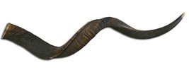 Kudu Horn Natural X Large African Antelope Horn Animal Horn Deer Horn Sh... - £73.20 GBP