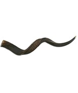 Kudu Horn Natural X Large African Antelope Horn Animal Horn Deer Horn Sh... - $93.06