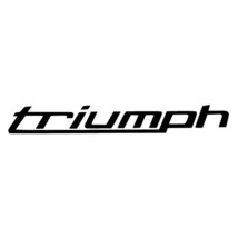 Two (2):  Motorcycle Design #16 stickers VINYL DECALS street bike cruiser - $9.50