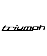 Two (2):  Motorcycle Design #16 stickers VINYL DECALS street bike cruiser - $13.27 CAD