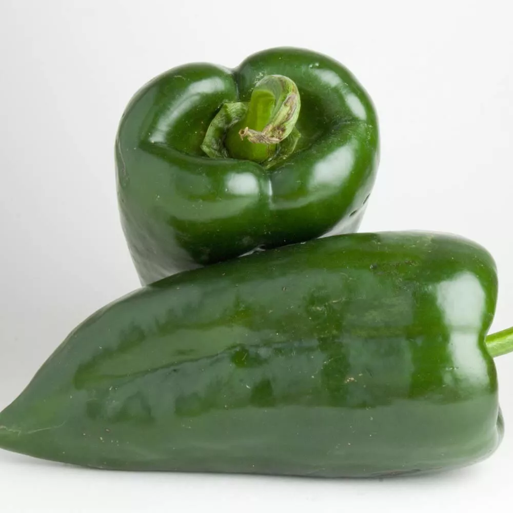 CLK 15 Poblano Pepper Seeds Non GMO Seed Store 1011 USA Herb Seeds - £6.94 GBP