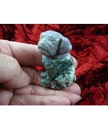 (Y-DOG-SH-710) purple green SHAR PEI sharpei dog PUG JASPER FIGURINE car... - €14,91 EUR