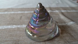 Vintage Iridescent Snail Shell Paperweight Large Heavy 4&quot; - $74.25