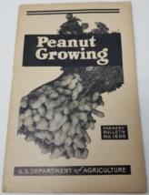 Peanut Growing 1943 Farmers&#39; Bulletin Booklet 1656 USDA Photos Charts - £18.30 GBP