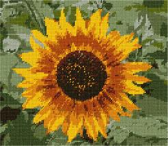 Pepita Needlepoint Canvas: Sunflower Close, 10&quot; x 9&quot; - £62.20 GBP+