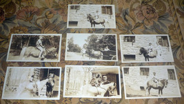 Willard Walker + Sis. Frances Augusta &amp; Horse &amp; Cart (7) Photos, Newton MA - $19.75