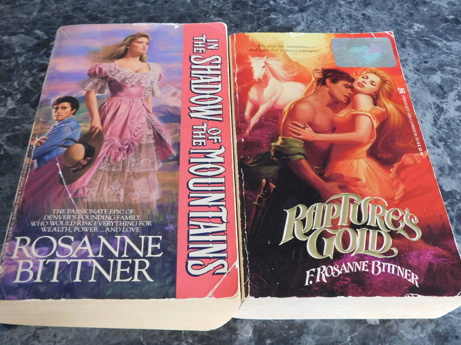 Rosanne Bittner lot of 2 Historical Romance Paperbacks - $3.99