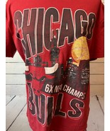 Hollister NBA Tee Shirt Chicago Bulls Graphic T-Shirt Medium Red 6X Champs - $34.01