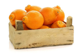 5 Tangelo Orange Seeds Planting USA Gardening - $7.96
