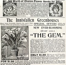 Multiple Flower And Seed Companies 1894 Advertisement Victorian Gardenin... - $19.99