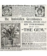 Multiple Flower And Seed Companies 1894 Advertisement Victorian Gardenin... - $28.04 CAD