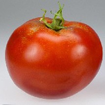 Clint Eastwood Rowdy Red Tomato  10 Seeds  Garden Beautiful USA SELLER - $5.60