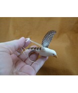 TNE-BIR-EA-291a) little Eagle bird eaglet ornament TAGUA NUT figurine wings - $719.41 MXN