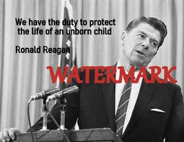 RONALD REAGAN &quot;WE HAVE THE DUTY TO PROTECT THE..&quot; QUOTE FAN ART GIFT PHO... - $4.95+