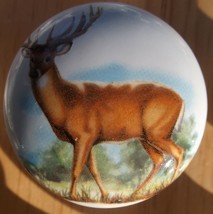 Cabinet Knobs Buck Whitetail Deer Wildlife #7 - $4.55