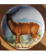 Cabinet Knobs Buck Whitetail Deer Wildlife #7 - $86.48 MXN
