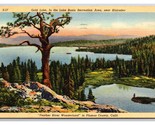 Color Oro Lago Blairsden California Ca Lino Cartolina N25 - $4.04