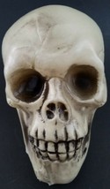Halloween Human Skulls Plastic 4.5”H x 4”W x 6.5”D - £2.34 GBP