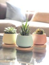Assorted Chez Juju 3&quot; Round Ceramic Succulent Pots In Blue, Pink, And Yellow - £30.35 GBP