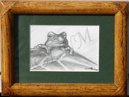 Frog on a Leaf Pencil Drawing - $25.00