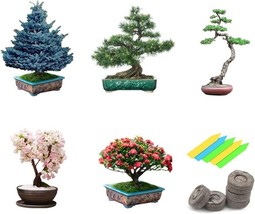 Bonsai Tree 5 Varieties Of Non GMO Heirloom Bonsai Starter Bulk Seeds - $516.83 MXN