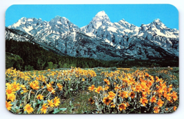 Postcard Snow Capped Teton Mountain Range &amp; Wild Flowers Jackson Hole Wyoming WY - £3.57 GBP