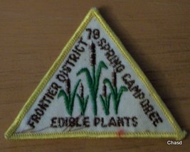BSA 1978 Frontier District Spring Camporee Patch - £3.93 GBP