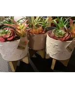 3X Artificial Plants Fake in Pots Mini Faux Grass Home Office Decor US - $259.64 MXN