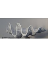Large White Clam Shell Beautiful Seashell Bowl - $143.55