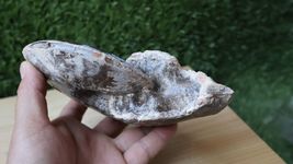 Item image 12
